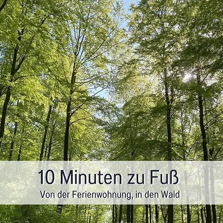 Am Feldrain - Urlaub Mit Hund Im Weserbergland Hannoversch Münden