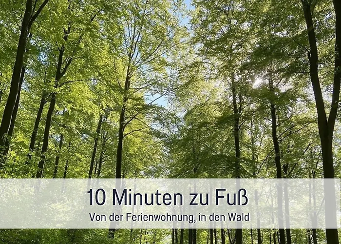 Am Feldrain - Urlaub Mit Hund Im Weserbergland 汉诺威-明登